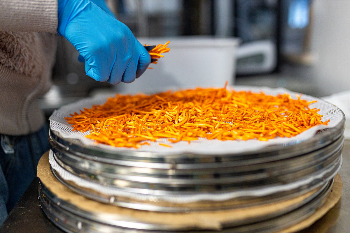 BIO Cordyceps: Energia+