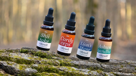 Liquid adaptogen extracts (Cordyceps, Shiitake, Lion's Mane, Ashwagandha) from Ollywell on a tree trunk.