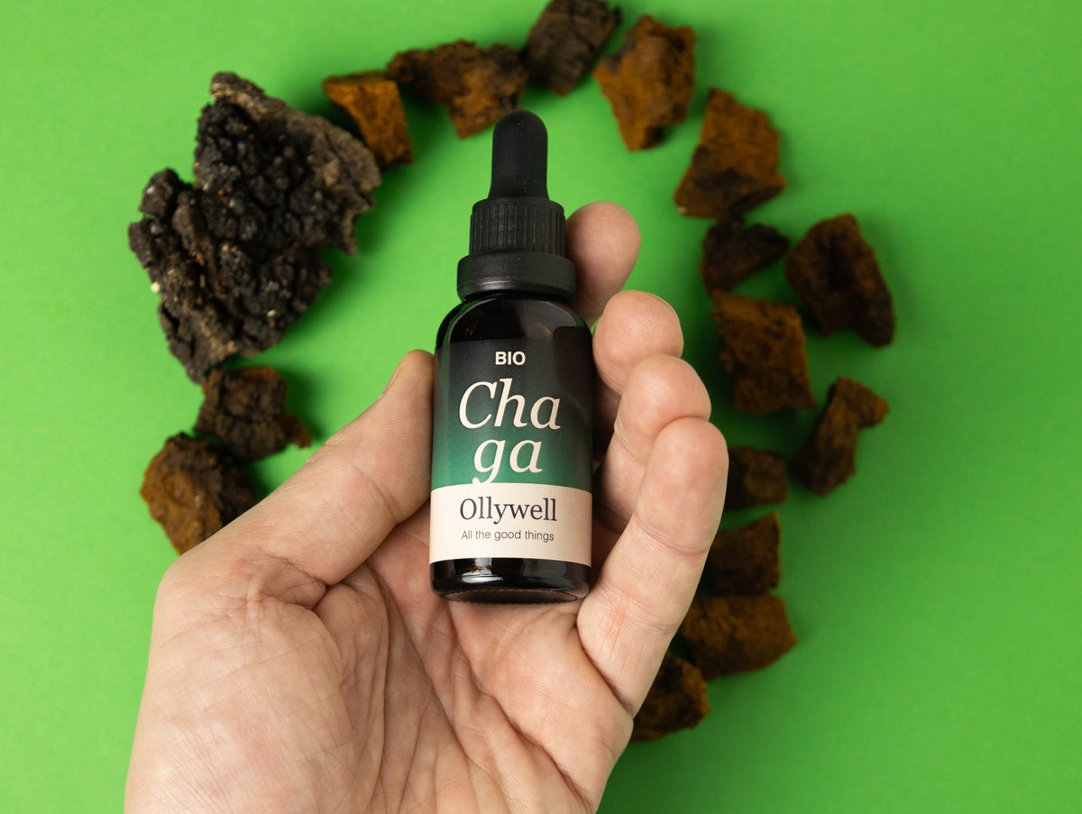 BIO Chaga: Antiossidante+
