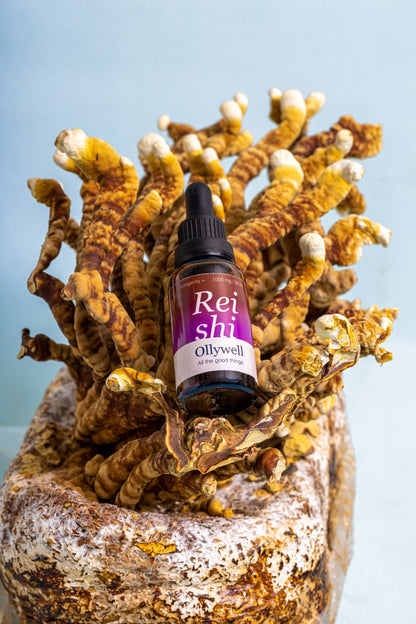BIO Reishi: Sonno+