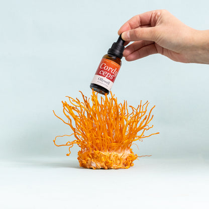 BIO Cordyceps: Energia+
