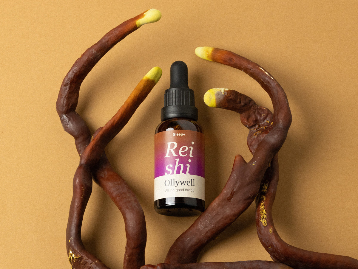 BIO Reishi: Sonno+