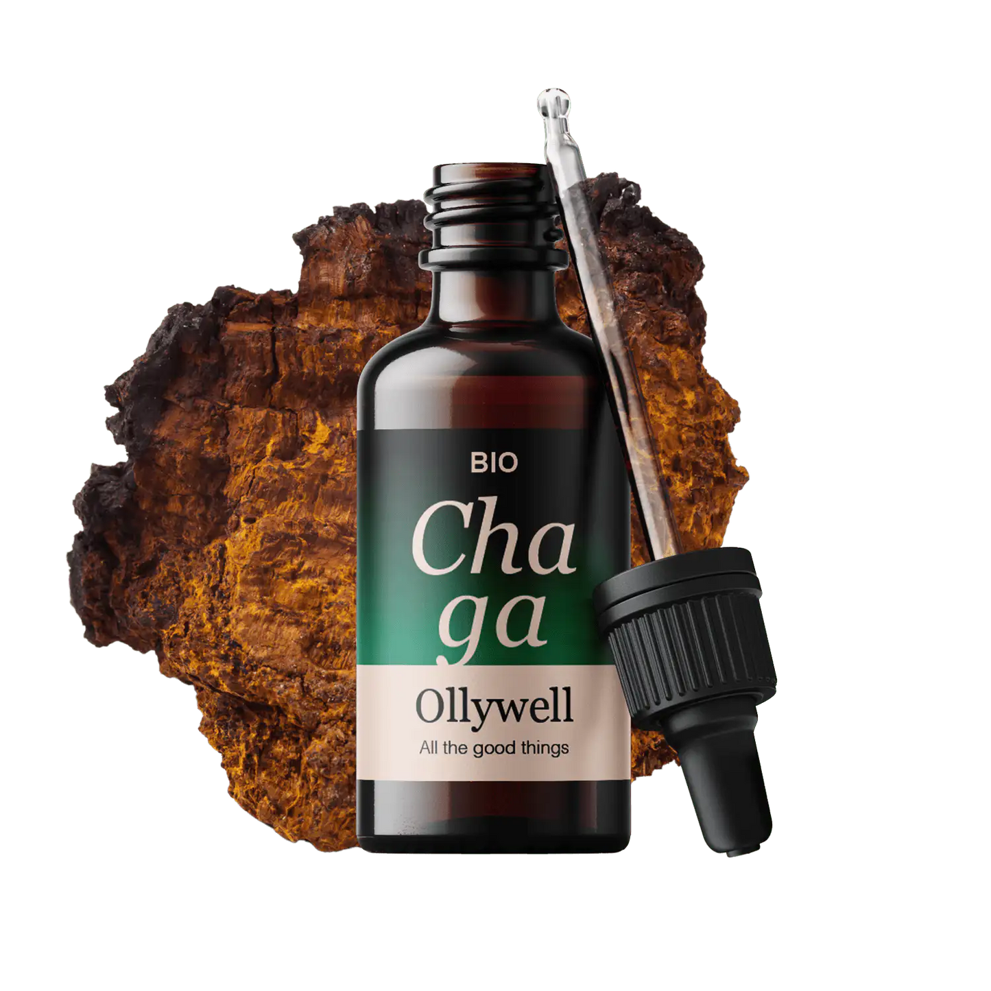BIO Chaga: Antiossidante+