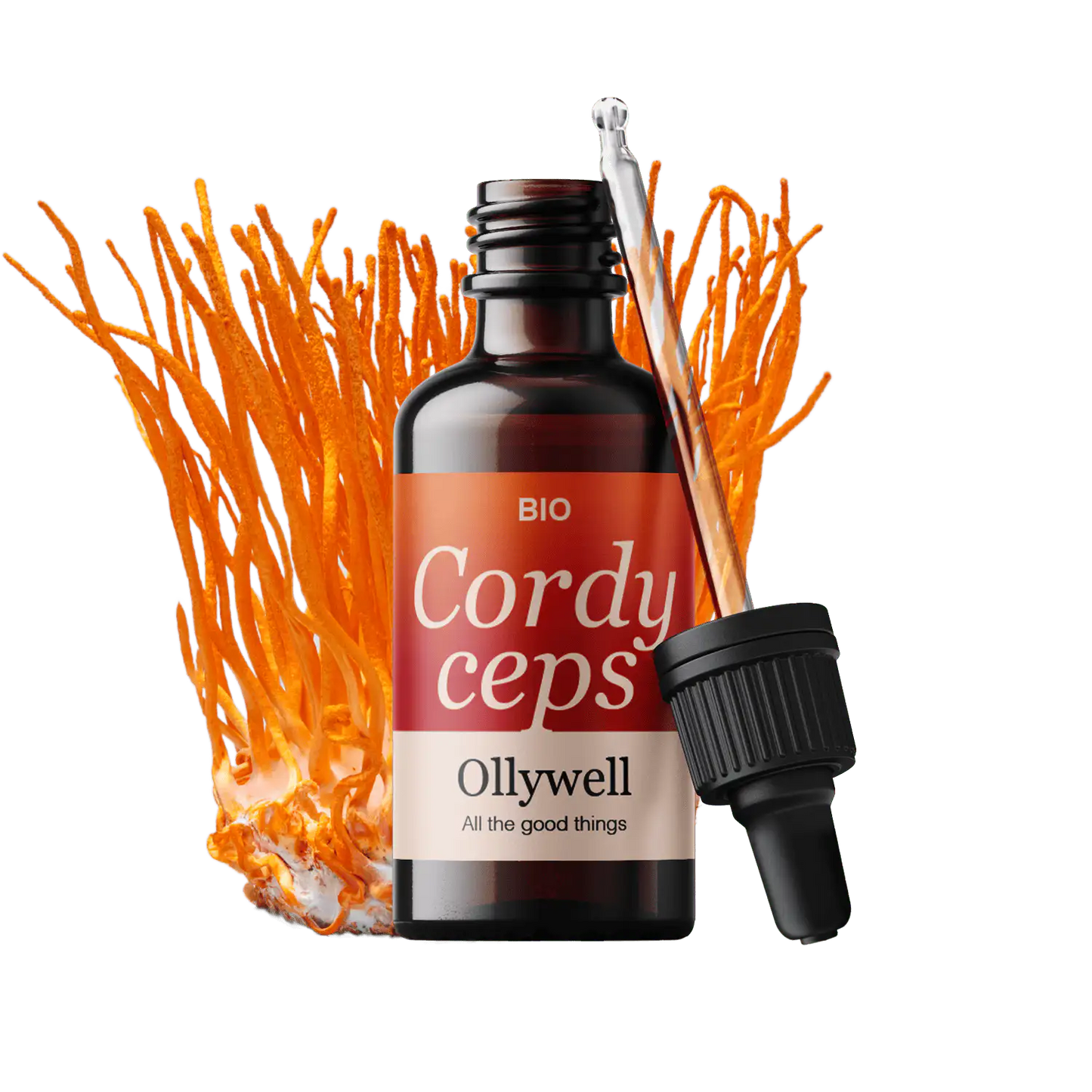 BIO Cordyceps: Energia+